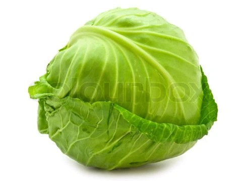 Cabbage (Patta Gobhi)