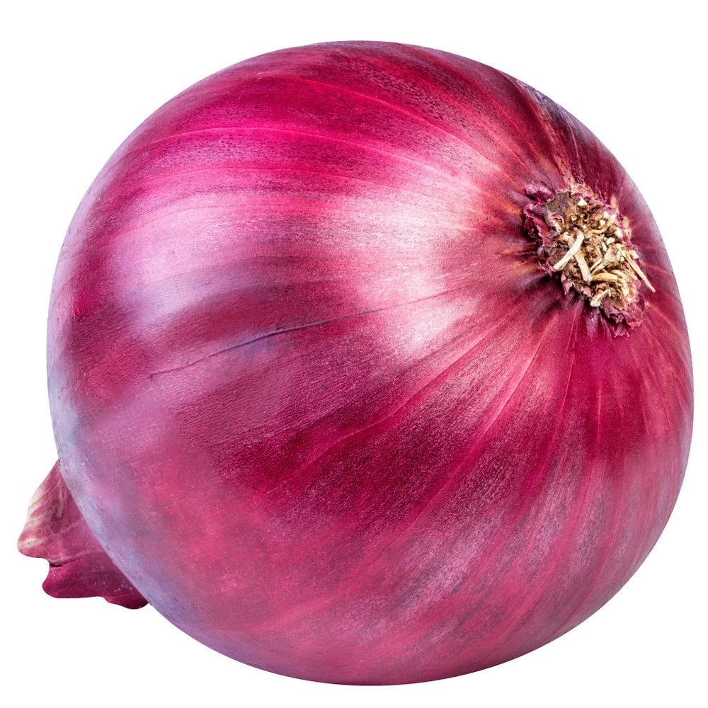 Onion (Pyaz)