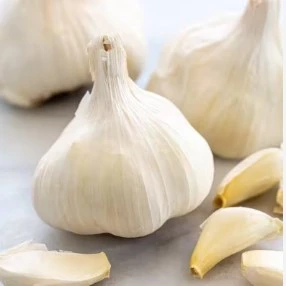 Garlic (Lehsun)