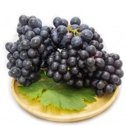 Black Grapes ( Angur )