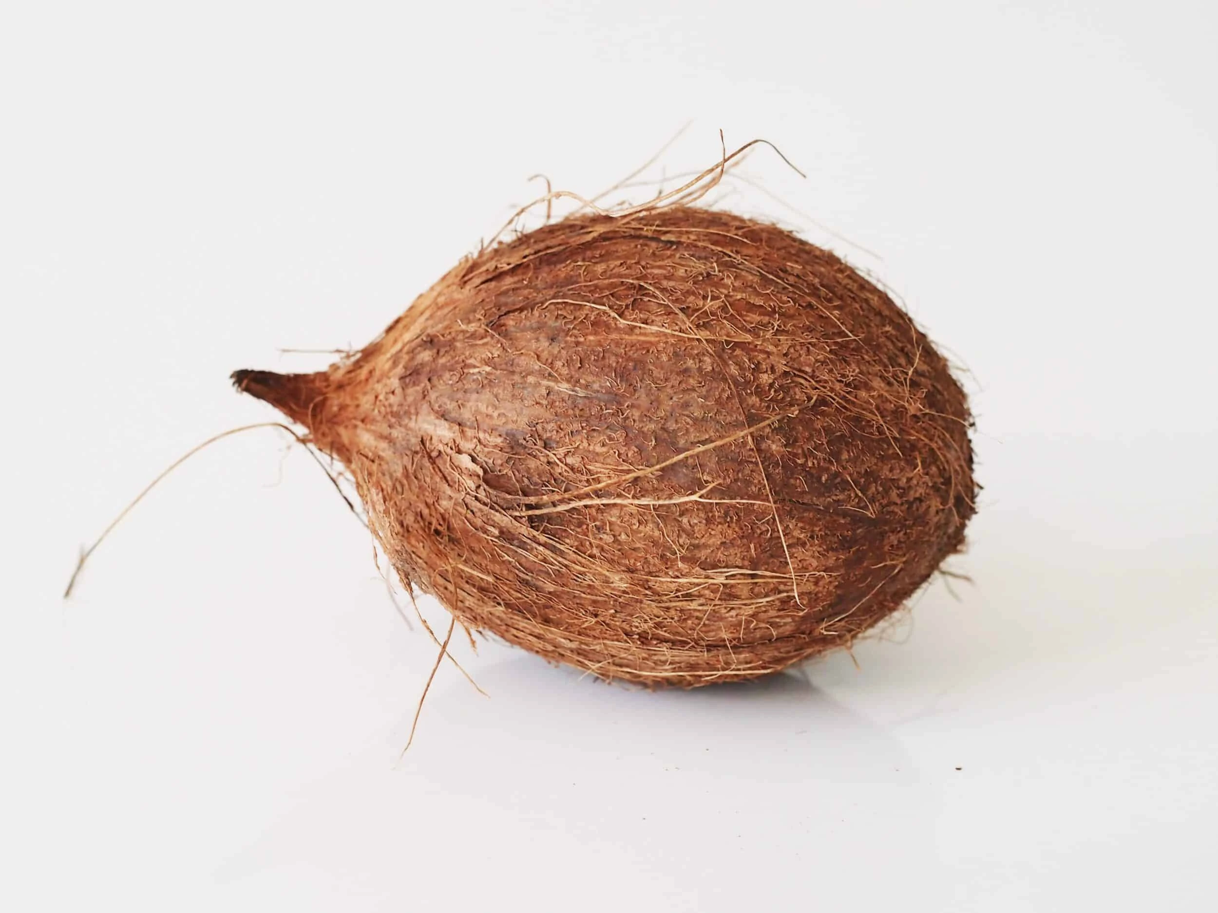 Brown Coconut