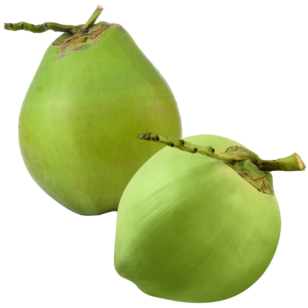 Tender Coconut (Small) (Nariyal Pani)